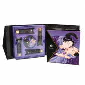 Подарочный набор Geishas secret из 5 предметов - Shunga - купить с доставкой в Сыктывкаре