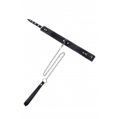 Кожаный двухслойный ошейник с белой строчкой и поводком - Pecado - купить с доставкой в Сыктывкаре