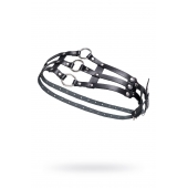 Черный кожаный пояс с кольцами - Pecado - купить с доставкой в Сыктывкаре