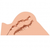 Мастурбатор-полуторс Naked Factory Hannah - Naked Factory - в Сыктывкаре купить с доставкой