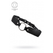 Черный кожаный чокер-ошейник со скруглёнными углами - Pecado - купить с доставкой в Сыктывкаре