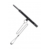 Черный узкий однослойный ошейник с серебристым поводком-цепочкой - Pecado - купить с доставкой в Сыктывкаре