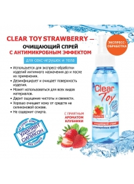 Очищающий спрей для игрушек CLEAR TOY Strawberry - 100 мл. - Биоритм - купить с доставкой в Сыктывкаре