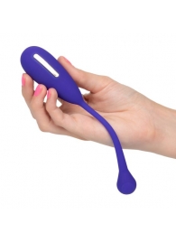 Фиолетовый шарик с электростимуляцией и вибрацией Intimate E-Stimulator Remote Kegel Exerciser - California Exotic Novelties - купить с доставкой в Сыктывкаре