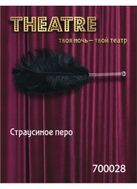 Чёрное страусовое пёрышко - ToyFa - купить с доставкой в Сыктывкаре