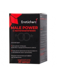 Капсулы для мужчин Erotichard male power с пантогематогеном - 20 капсул (0,370 гр.) - Erotic Hard - купить с доставкой в Сыктывкаре