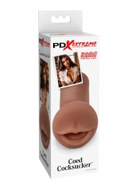 Мастурбатор-ротик Coed Cocksucker - Pipedream - в Сыктывкаре купить с доставкой