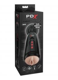 Мастурбатор-вагина с вибрацией Dirty Talk Starter Stroker - Pipedream - в Сыктывкаре купить с доставкой