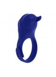 Синее эрекционное виброкольцо с клиторальной подушечкой и пультом ДУ Adjustable Fun Ring - Zero Tolerance - в Сыктывкаре купить с доставкой