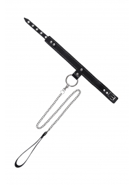 Черный узкий однослойный ошейник с серебристым поводком-цепочкой - Pecado - купить с доставкой в Сыктывкаре