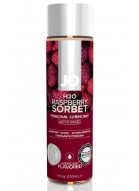 Лубрикант на водной основе с ароматом малины JO Flavored Raspberry Sorbet - 120 мл. - System JO - купить с доставкой в Сыктывкаре