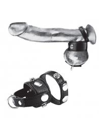 Утяжка для мошонки и пениса Cock Ring With 1  Ball Stretcher And Optional Weight Ring - BlueLine - купить с доставкой в Сыктывкаре