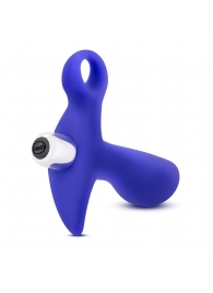 Синий стимулятор простаты с ручкой-кольцом Performance Prostimulator 02 - Blush Novelties - в Сыктывкаре купить с доставкой