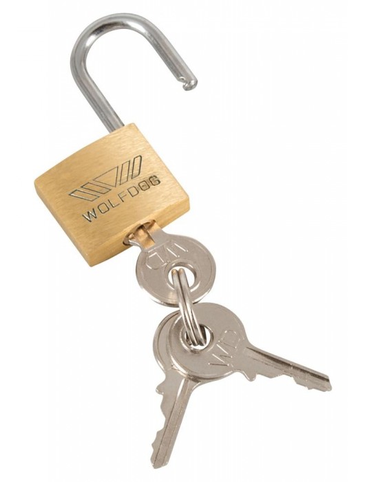 Набор для мужского пояса верности Cock Cage Set - Orion - купить с доставкой в Сыктывкаре