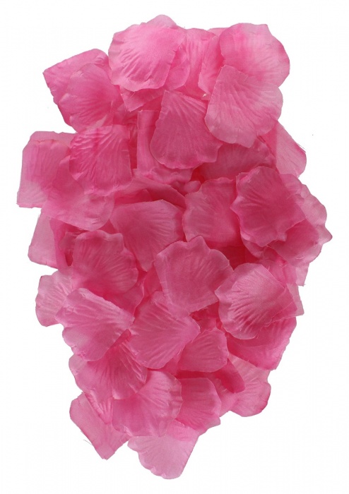 Эротический набор FANTASTIC PURPLE SEX TOY KIT - Toy Joy - купить с доставкой в Сыктывкаре