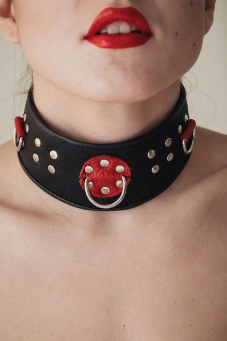 Кожаный ошейник с клепками и кольцами - БДСМ Арсенал - купить с доставкой в Сыктывкаре