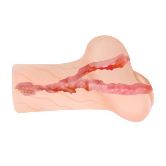 Мастурбатор без вибрации - вагина и анус - Baile - в Сыктывкаре купить с доставкой