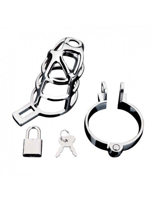 Серебристая металлическая клетка для члена с замком Enslave Cock Cage - BlueLine - купить с доставкой в Сыктывкаре