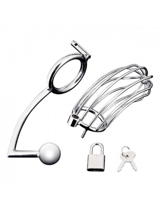 Серебристая металлическая клетка с анальным стимулятором Cock Cage - BlueLine - купить с доставкой в Сыктывкаре