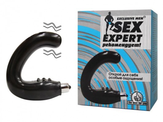 Чёрный массажёр простаты серии Sex Expert - Sex Expert - в Сыктывкаре купить с доставкой