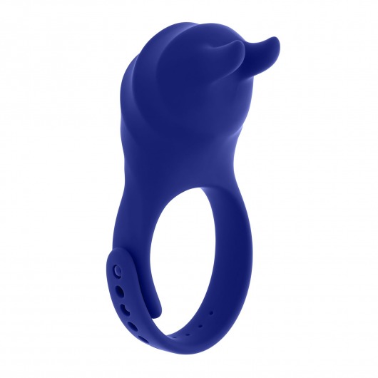 Синее эрекционное виброкольцо с клиторальной подушечкой и пультом ДУ Adjustable Fun Ring - Zero Tolerance - в Сыктывкаре купить с доставкой