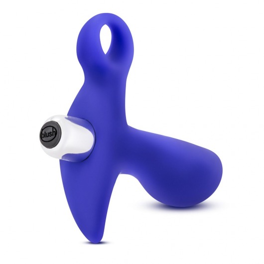 Синий стимулятор простаты с ручкой-кольцом Performance Prostimulator 02 - Blush Novelties - в Сыктывкаре купить с доставкой