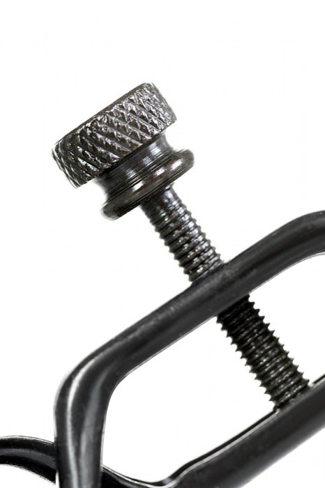 Черно-золотистые зажимы для сосков TOYFA Theatre - ToyFa - купить с доставкой в Сыктывкаре