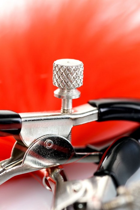 Зажимы для сосков с красным пухом Theatre - ToyFa - купить с доставкой в Сыктывкаре