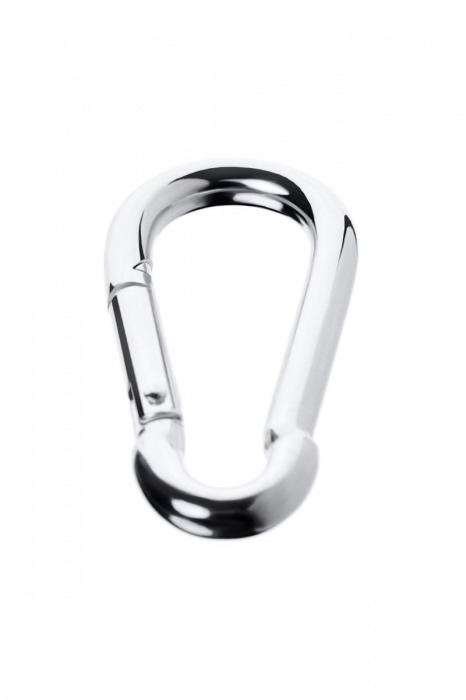 Серебристый карабин TOYFA Metal - ToyFa - купить с доставкой в Сыктывкаре